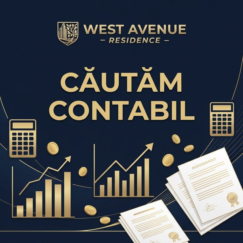 Contabila primara (cu experienta)