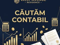 Contabila primara (cu experienta)