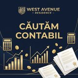 Contabila primara (cu experienta)